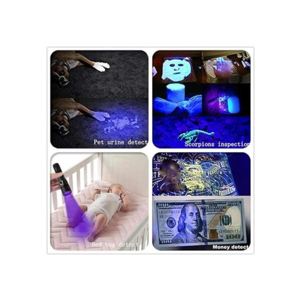 Linterna UV de 395 nm linterna recargable de luz negra_3