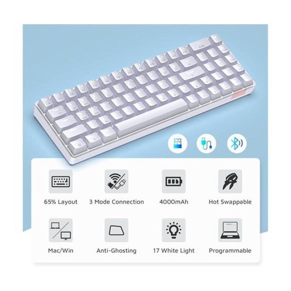 LexonElec 60 Wireless Mechanical Gaming_2