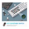 LexonElec 60 Wireless Mechanical Gaming_3
