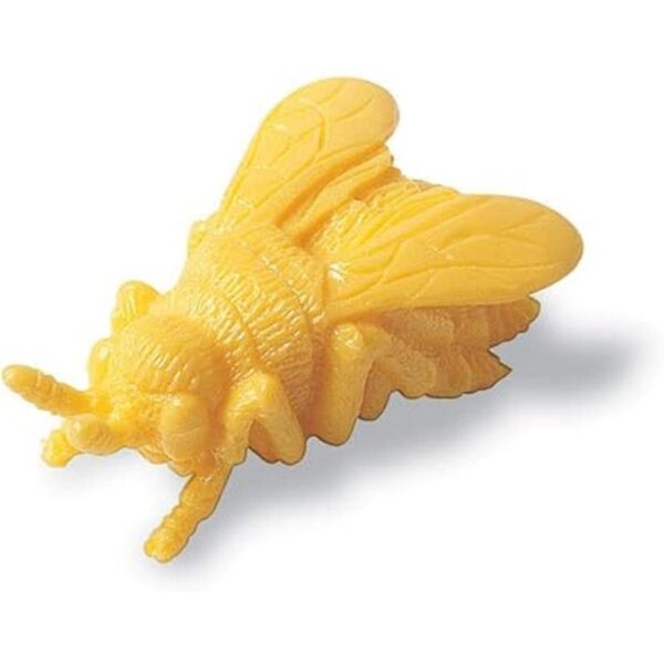 Learning Resources insectos del patio para contar juego_4
