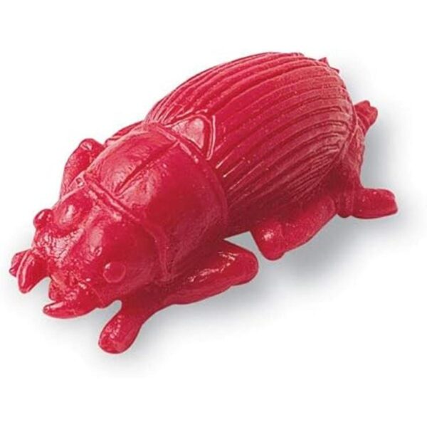 Learning Resources insectos del patio para contar juego_3