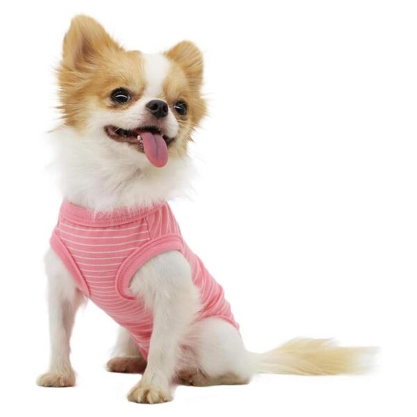 LOPHIPETS Pijama para niñas y perros traje de