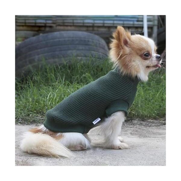 LOPHIPETS Suéteres ligeros para perros pequeños cachorros