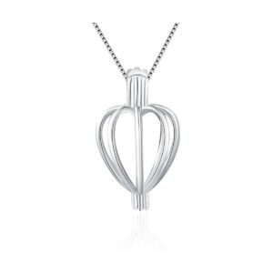 LGSY Dije de jaula de corazón minimalista para_1