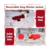Kuoser Abrigo de invierno para perro de estilo británico_5