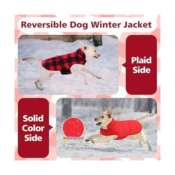 Kuoser Abrigo de invierno para perro de estilo británico_5