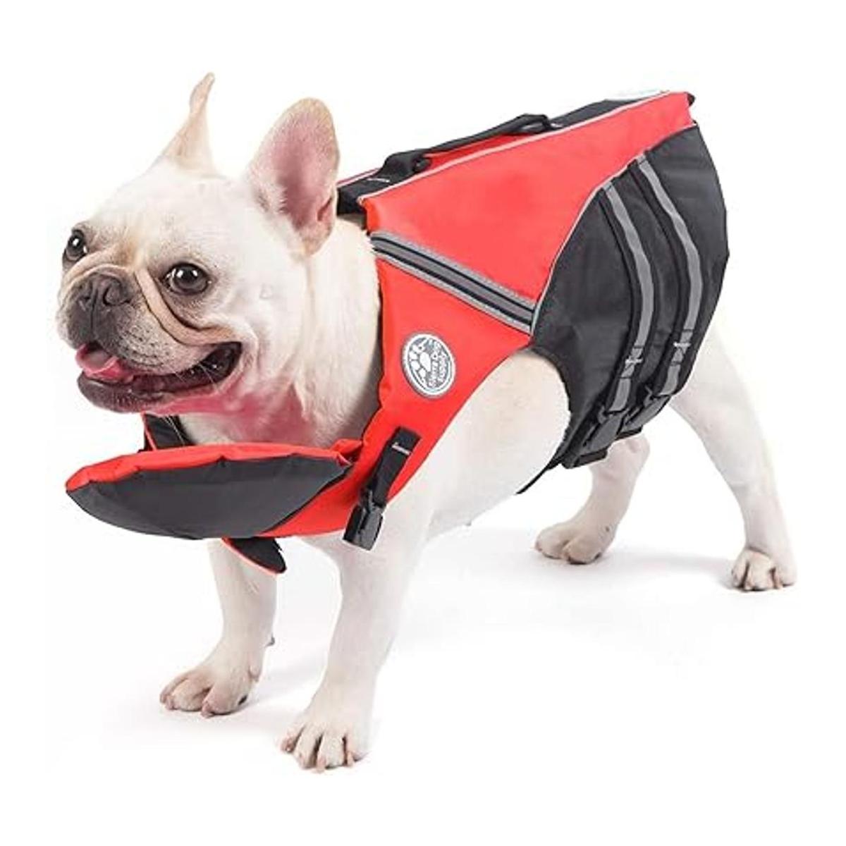 Chaleco salvavidas Bulldog Francés chaleco salvavidas