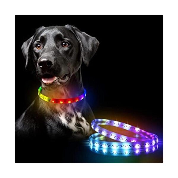Collar LED para perro collares de perro con luces_1