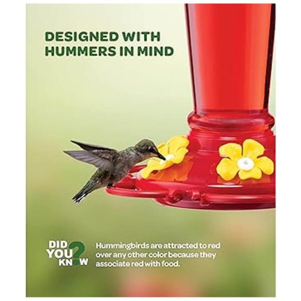 Comedero de colibríes de 10 onzas Juego de 2 comederos