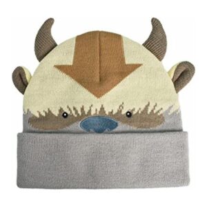 Concept One Avatar The Last Airbender Appa Gorro de punto_1