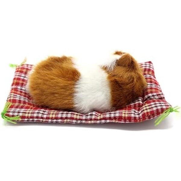 Coolayoung 2 piezas de juguete de muñeca para gato