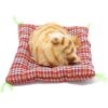 Coolayoung 2 piezas de juguete de muñeca para gato