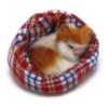 Coolayoung 4 piezas de juguete de muñeca de gato durmiendo_5