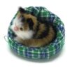 Coolayoung 4 piezas de juguete de muñeca de gato durmiendo_4