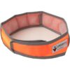 CoolerDog HiVis Collar de enfriamiento para perro color