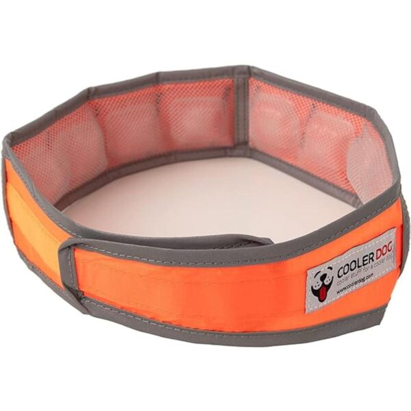 CoolerDog HiVis Collar de enfriamiento para perro color