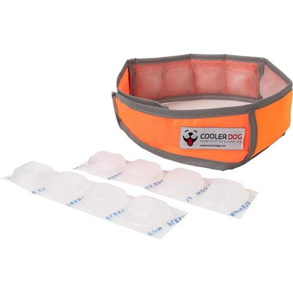 CoolerDog HiVis Collar de enfriamiento para perro color