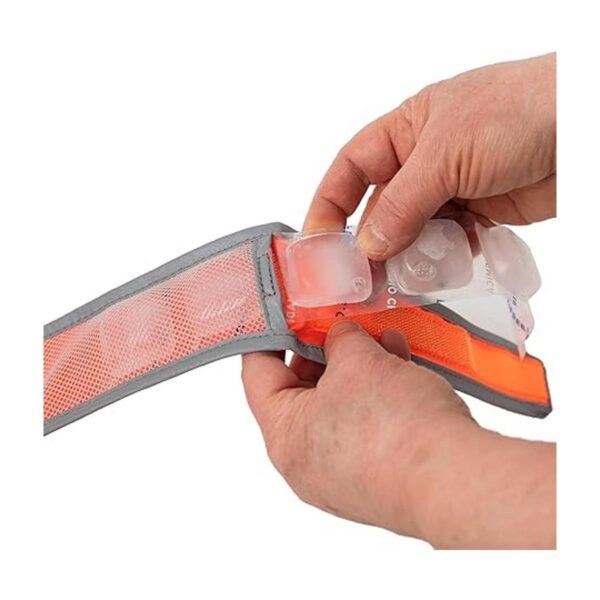 CoolerDog HiVis Collar de enfriamiento para perro color