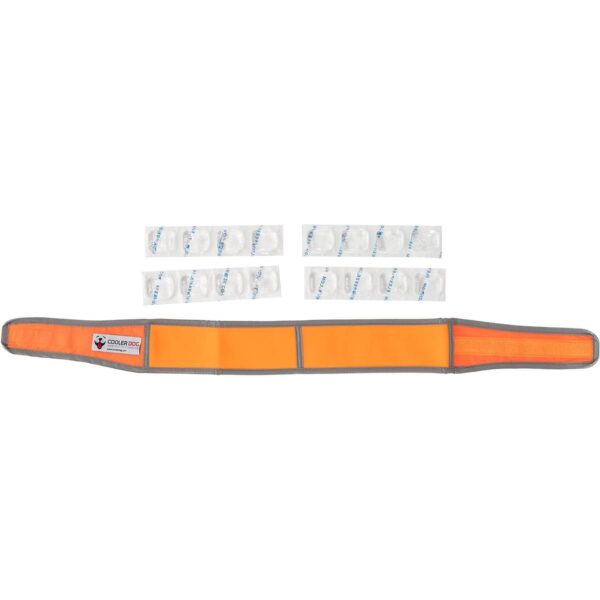 CoolerDog HiVis Collar de enfriamiento para perro color