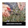 Corona FS4350 Tijeras de adelgazamiento con agarre_5