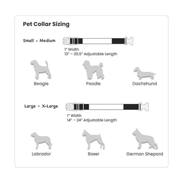 Craft Express Sublimation Collar de perro en blanco