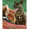 Cuban Link Dog Collar35 in15mm Wide Gold Metal Chain_3