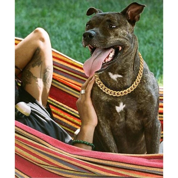 Cuban Link Dog Collar35 in15mm Wide Gold Metal Chain_3
