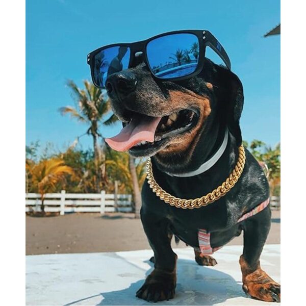 Cuban Link Dog Collar35 in15mm Wide Gold Metal Chain_4