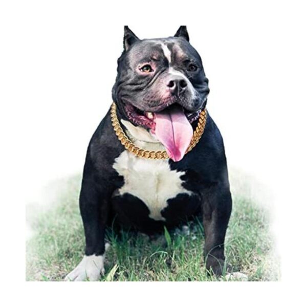 Cuban Link Dog Collar35 in15mm Wide Gold Metal Chain_1