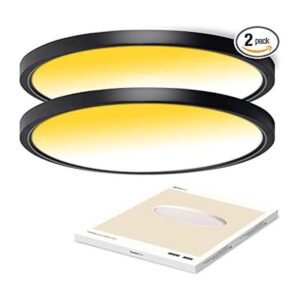 CycevSun Lámpara de techo LED negra regulable de 15.8_1