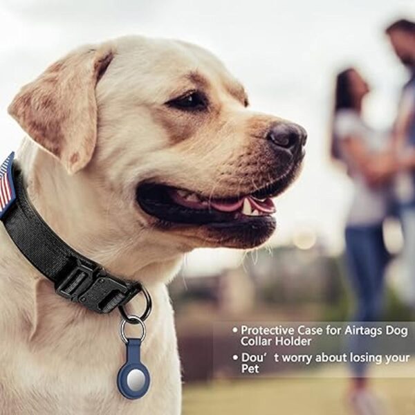 DAGANXI Collar táctico para perro collar ajustable de