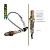 DAVRPES 16414 Sensor de oxígeno descendente 11787545075_2