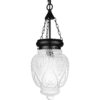 DSMJFU Lámpara colgante de techo de cristal negro para_1