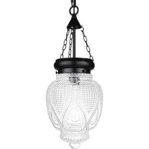 DSMJFU Lámpara colgante de techo de cristal negro para_1
