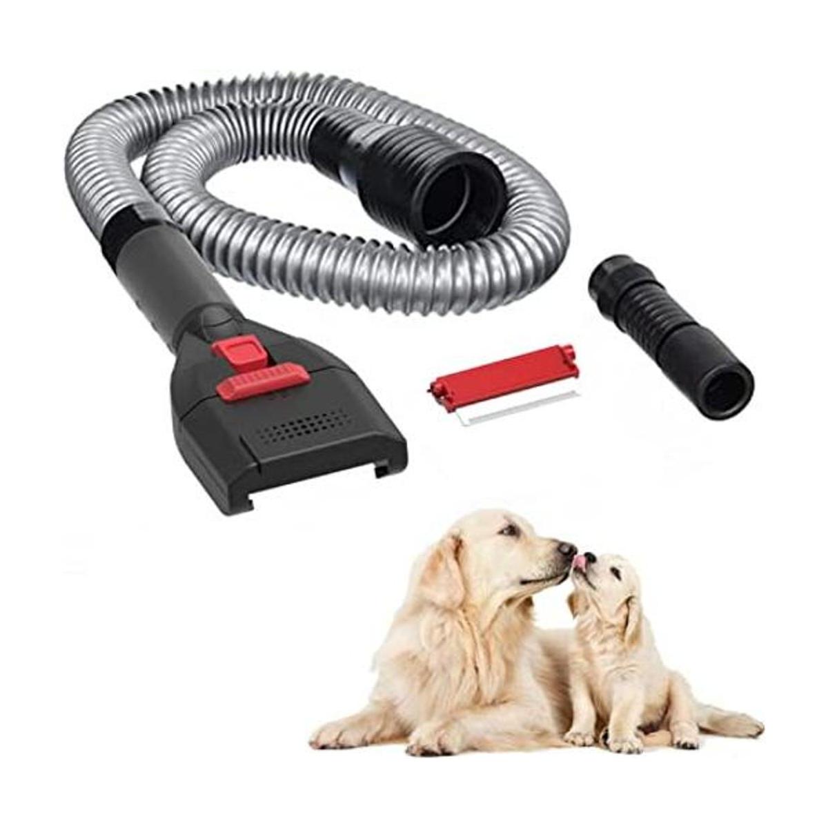 Defurry Kit de cepillo de aseo al vacío para mascotas y