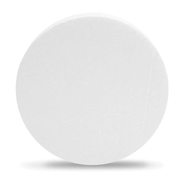Disco de espuma para manualidades círculos en blanco para
