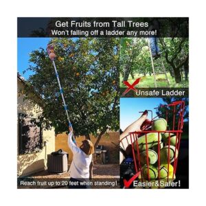 DonSail Herramienta para recolector de frutas con cesta