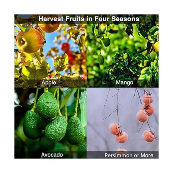 DonSail Herramienta para recolector de frutas con cesta