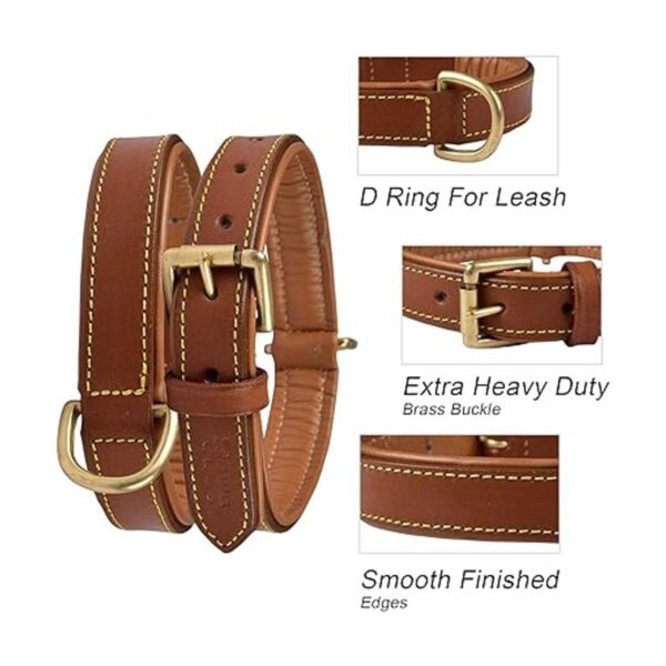 DowgClub Collar de cuero genuino para perro grano_2