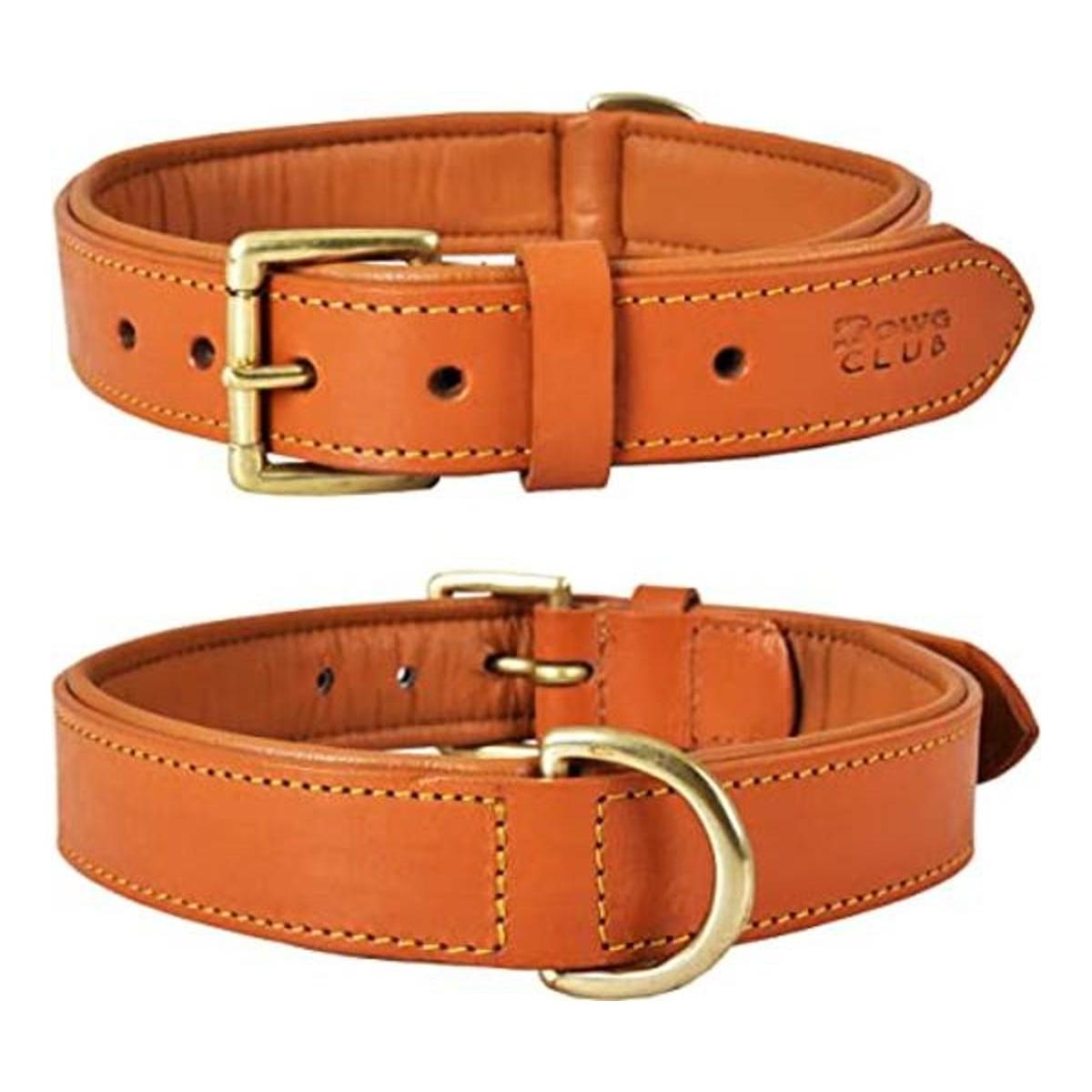 DowgClub Collar de cuero genuino para perro grano