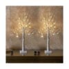 EAMBRITE Juego de 2 luces LED de abedul de 2 pies y 24_1