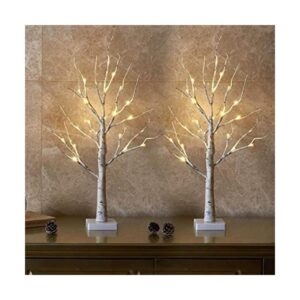 EAMBRITE Juego de 2 luces LED de abedul de 2 pies y 24_1