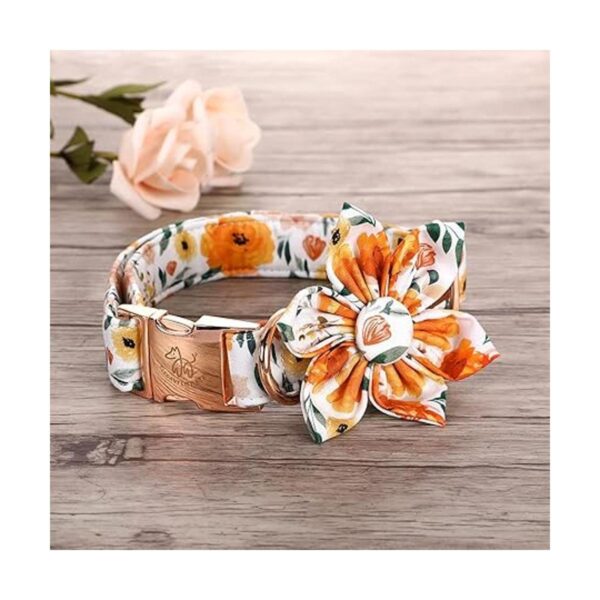 Elegant little tail Collar de perro floral para niñas_2
