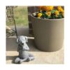 Estatua de perro meditante de Buda Perro zen Namaste