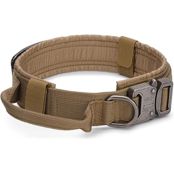 FOXTROT Collar táctico para perro con correa elástica para