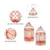 Farol colgante de jaula para pájaros 2 piezas de metal_3