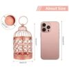 Farol colgante de jaula para pájaros 2 piezas de metal_2