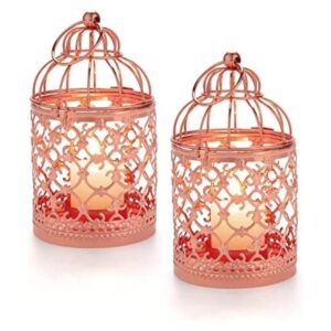 Farol colgante de jaula para pájaros 2 piezas de metal_1