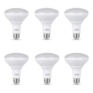 Feit Electric Bombilla LED BR30 con base E26 media_1