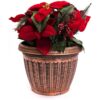 Florero estilo medieval de 12 pulgadas urna con charola